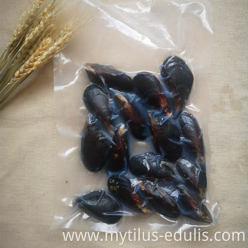 High quality tasty and delicious frozen boiled mussel with factory price